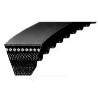  COURROIE CRANTEE 10X150 