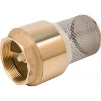  CREPINE + CLAPET INOX 2" 50X60 
