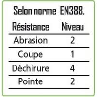  GANTS JARDIN SPEC ROSIERS T6 