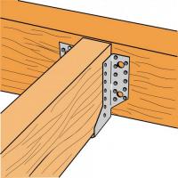  SABOT AIL EXT T250 L32 H109 