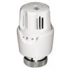  TETE THERMOSTATIQUE M 30X1.5 