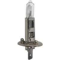 AMPOULE H1 12V 100W P14.5s 