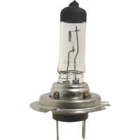  AMPOULE H7 12V 55W Px26d 