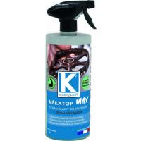  NETTOYANT MECANIQUE PULVE 1L 