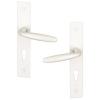  ENS PORTE MET 195MM BRISTO CYL 