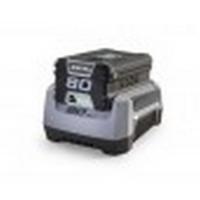  CHARGEUR BATTERIE RAPIDE 80V 