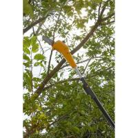  MULTI TOOL BAT 20V EXTENSIBLE 