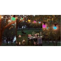  GUIRLANDE 10 AMPOULES LED 8M 