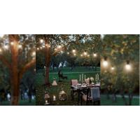  GUIRLANDE 10 AMPOULES LED 10M 
