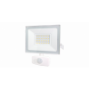  PROJECTEUR LED 30W +DET BLANC 
