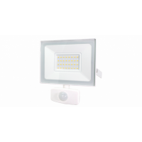  PROJECTEUR LED 30W +DET BLANC 