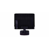  PROJECTEUR LED 30W +DET NOIR 