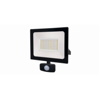  PROJECTEUR LED 50W +DET NOIR 