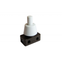  INTER POUSSOIR 2A 250V BLANC 