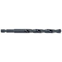  FORET METAL HSS HEX TX D10 