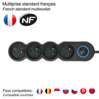  BLOC 4 PRISES 2P+T 16A + INTER 