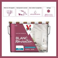  PEINTURE BLANC RENOVATION 5L 
