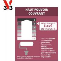  PEINTURE BLANC RENOVATION 5L 