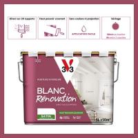  PEINTURE BLANC RENOVATION 5L 
