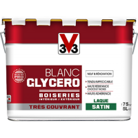  PEINTURE GLYCERO MONOCOUCHE 5L 