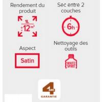  LASURE CLASSIC ACAJOU   5L+20% 