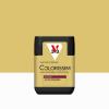 COLORISSIM VE J GINGEMBR 75ML 