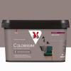  COLORISSIM VE GRS LOUTRE 2L 