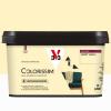  COLORISSIM VE SORB VANILLE 2L 