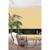  COLORISSIM VE JAUNE FRANGI 2L 