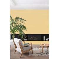 COLORISSIM VE JAUNE FRANGI 2L 
