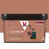 COLORISSIM VE ROUX ECUREUIL 2L 