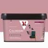  COLORISSIM VE ARGILE ROSE 2L 