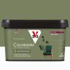  COLORISSIM VE BRUN VERDI 2L 