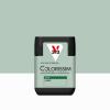  COLORISSIM SAT LICHEN 75ML 