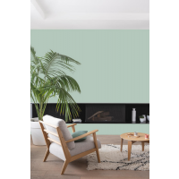  COLORISSIM SAT LICHEN 75ML 