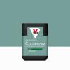  COLORISSIM SAT VERT GRIS 75ML 