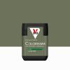  COLORISSIM SAT GLAISE VER 75ML 