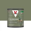  COLORISSIM SAT GLAISE VE 0.5L 