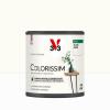  COLORISSIM SAT BLANC GRIS 0.5L 