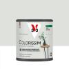  COLORISSIM SAT GRIS PLAT 0.5L 