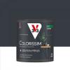  COLORISSIM SAT CARBONE 0.5L 