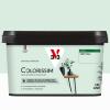  COLORISSIM SAT VERT D'EAU 2.5L 