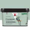  COLORISSIM SAT LICHEN 2.5L 
