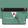  COLORISSIM SAT CACTUS 2.5L 