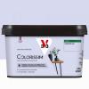  COLORISSIM SAT FLEUR LIN 2.5L 
