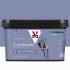  COLORISSIM SAT HORTENSIA 2.5L 