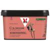  COLORISSIM SAT S FRAISE 2.5L 