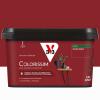 COLORISSIM SAT ROUGE RUBI 2.5L 