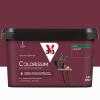 COLORISSIM SAT LIE DE VIN 2.5L 