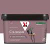  COLORISSIM SAT BRUN MAUVE 2.5L 